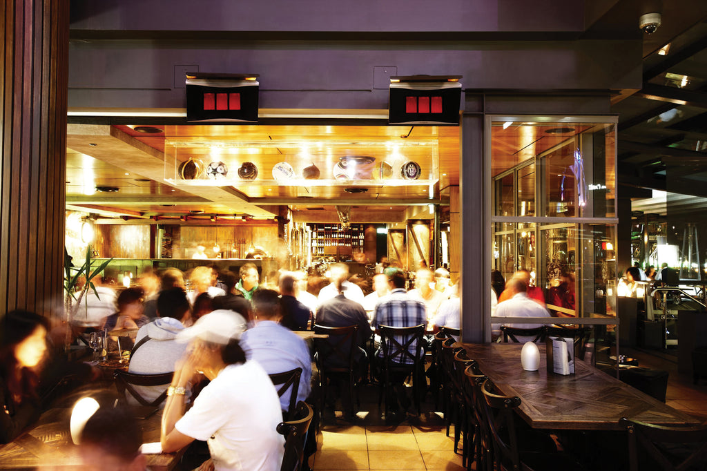 Bromic Platinum Smart-Heat™ Gas Heater